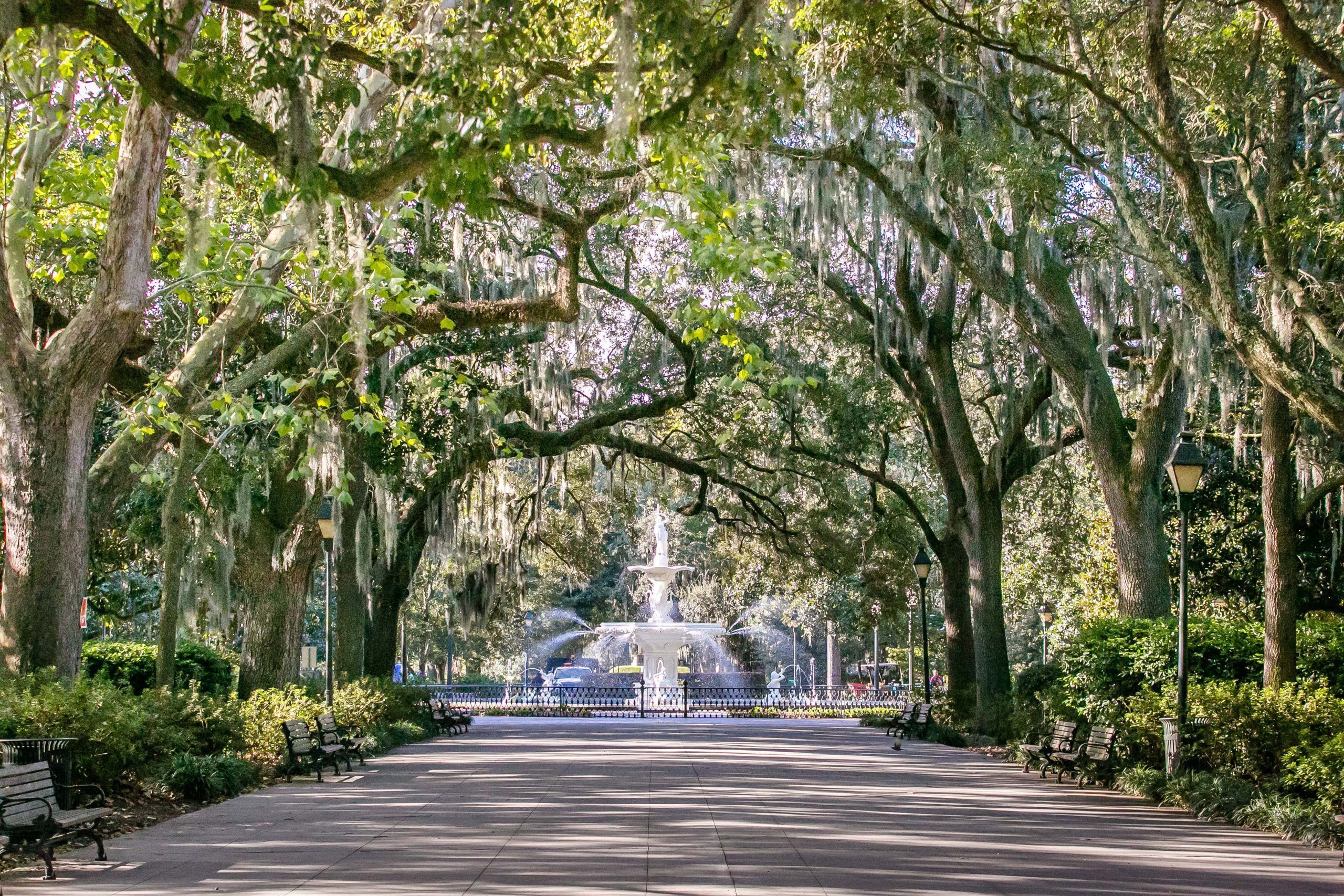 forsyth park